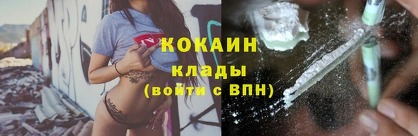 крисы Белоозёрский