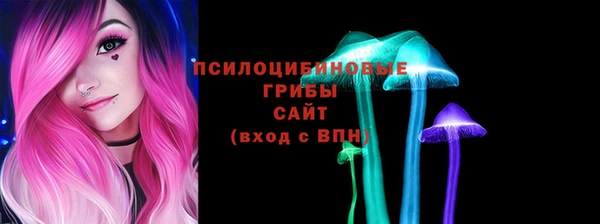 крисы Белоозёрский