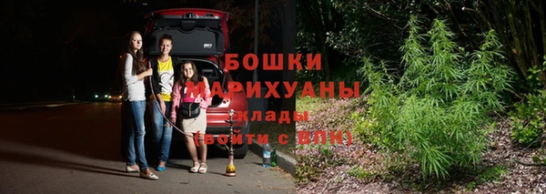 хмурый Богородск