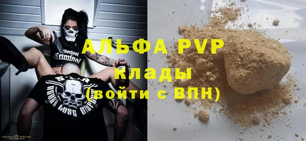 стафф Белокуриха