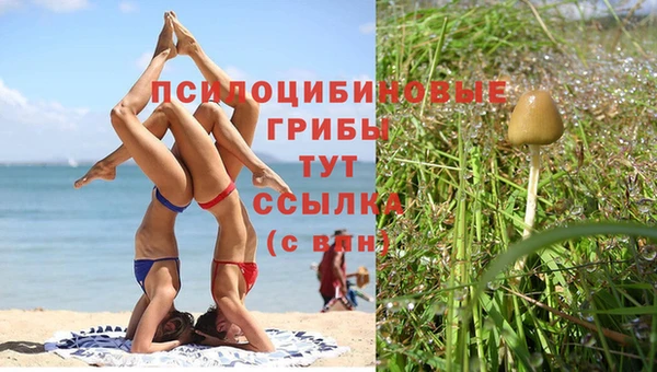 хмурый Богородск